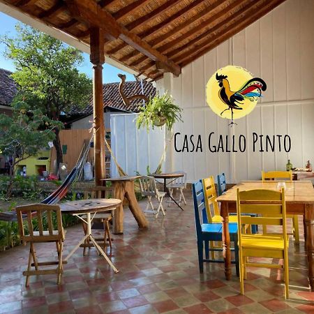 Casa Gallo Pinto Гранада Экстерьер фото