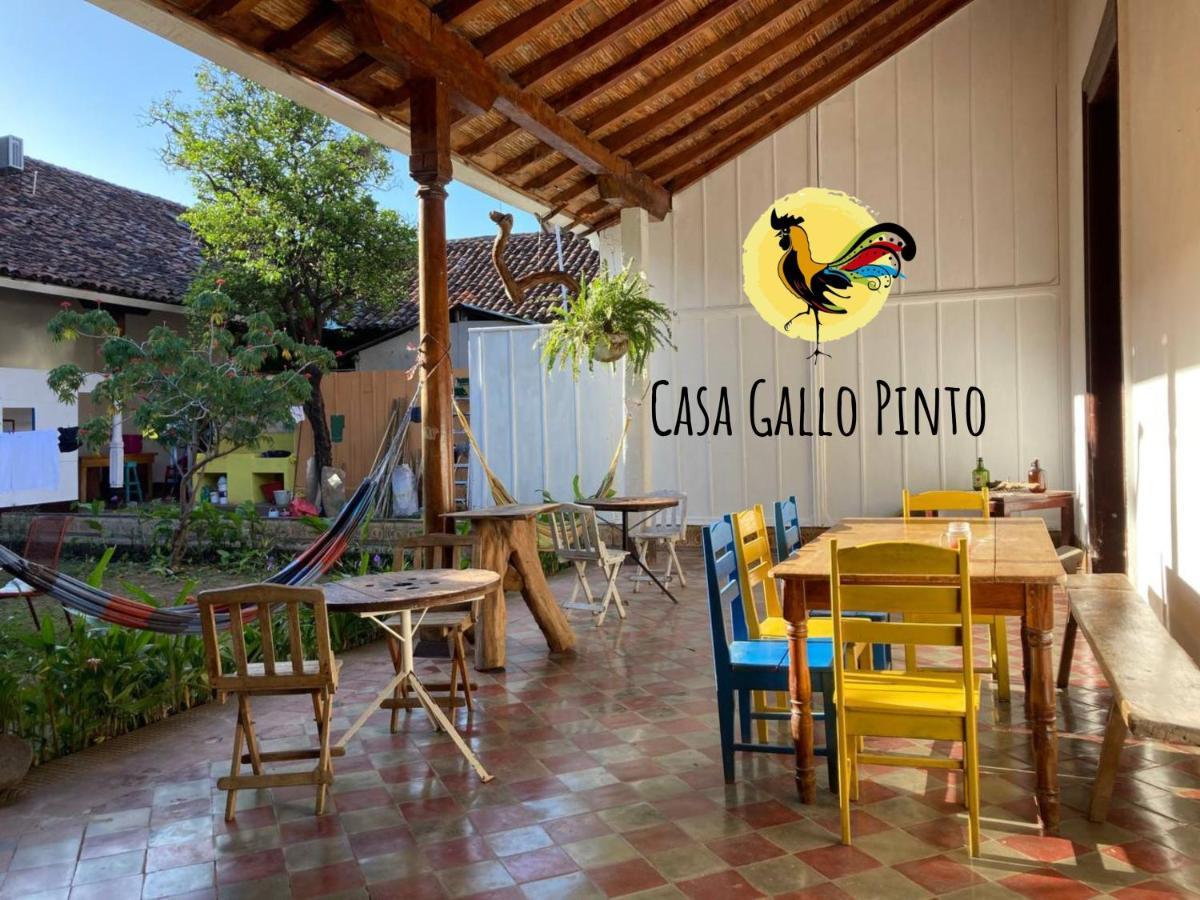 Casa Gallo Pinto Гранада Экстерьер фото