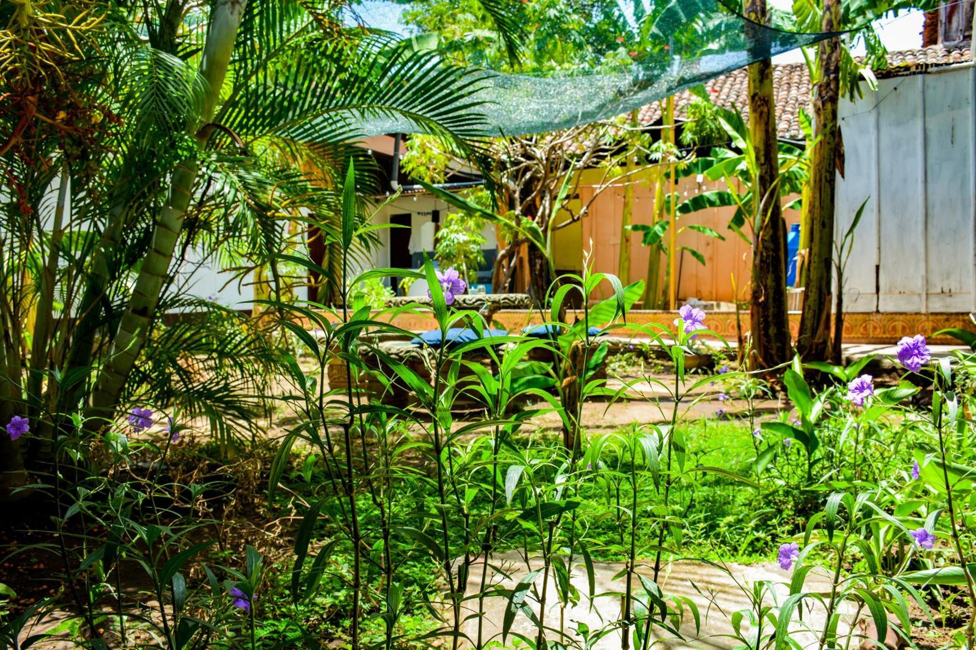 Casa Gallo Pinto Гранада Экстерьер фото