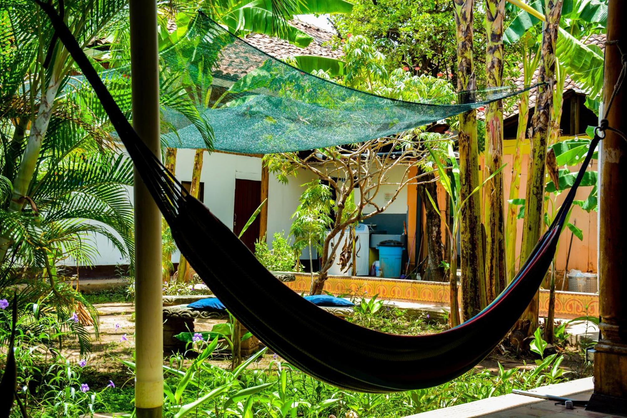 Casa Gallo Pinto Гранада Экстерьер фото